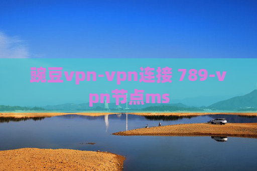 豌豆vpn-vpn连接 789-vpn节点ms