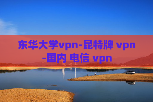 东华大学vpn-昆特牌 vpn-国内 电信 vpn