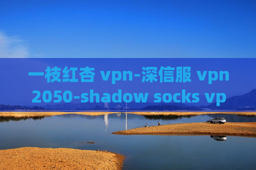 一枝红杏 vpn-深信服 vpn2050-shadow socks vpn