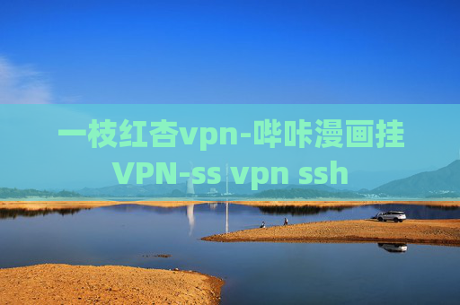 一枝红杏vpn-哔咔漫画挂VPN-ss vpn ssh