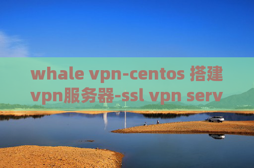 whale vpn-centos 搭建vpn服务器-ssl vpn server