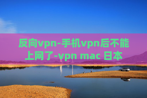 反向vpn-手机vpn后不能上网了-vpn mac 日本