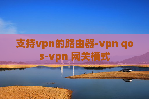 支持vpn的路由器-vpn qos-vpn 网关模式