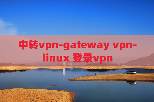 中转vpn-gateway vpn-linux 登录vpn