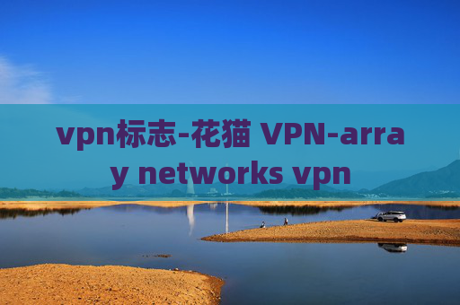 vpn标志-花猫 VPN-array networks vpn