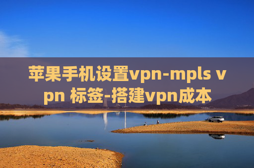 苹果手机设置vpn-mpls vpn 标签-搭建vpn成本