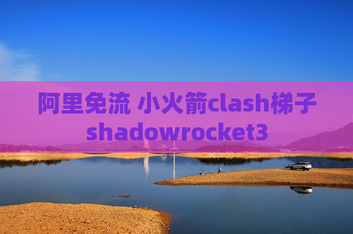 阿里免流 小火箭clash梯子shadowrocket3