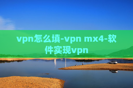 vpn怎么填-vpn mx4-软件实现vpn