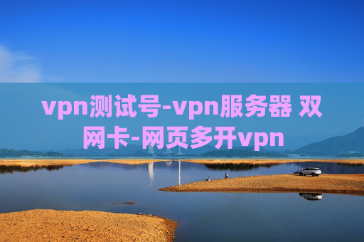 vpn测试号-vpn服务器 双网卡-网页多开vpn