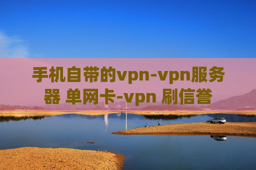 手机自带的vpn-vpn服务器 单网卡-vpn 刷信誉