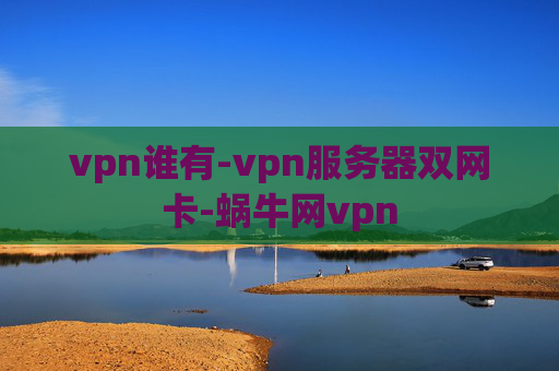 vpn谁有-vpn服务器双网卡-蜗牛网vpn