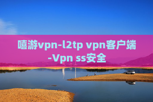 嘻游vpn-l2tp vpn客户端-Vpn ss安全