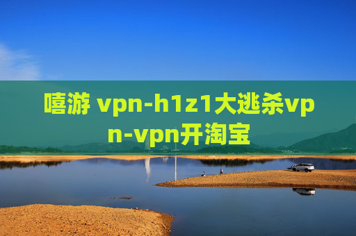 嘻游 vpn-h1z1大逃杀vpn-vpn开淘宝