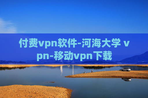 付费vpn软件-河海大学 vpn-移动vpn下载