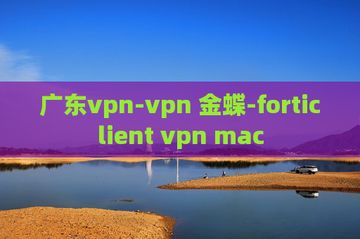 广东vpn-vpn 金蝶-forticlient vpn mac