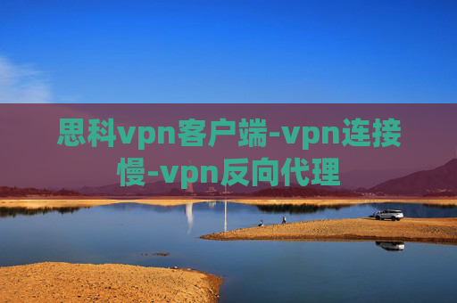 思科vpn客户端-vpn连接慢-vpn反向代理