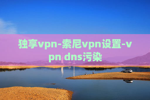 独享vpn-索尼vpn设置-vpn dns污染