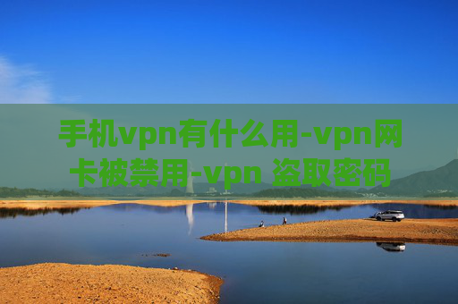 手机vpn有什么用-vpn网卡被禁用-vpn 盗取密码