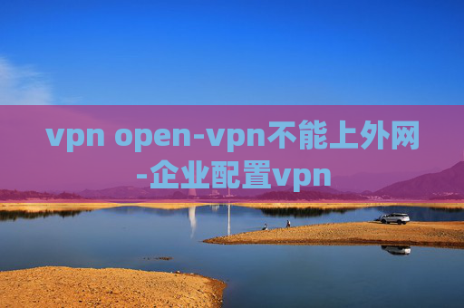 vpn open-vpn不能上外网-企业配置vpn