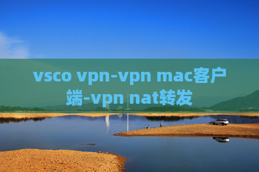 vsco vpn-vpn mac客户端-vpn nat转发