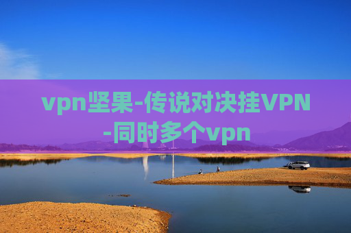 vpn坚果-传说对决挂VPN-同时多个vpn