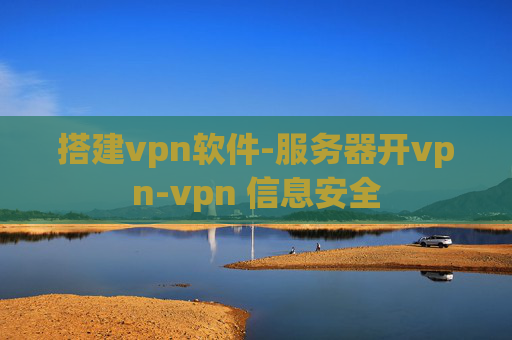 搭建vpn软件-服务器开vpn-vpn 信息安全