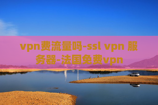 vpn费流量吗-ssl vpn 服务器-法国免费vpn