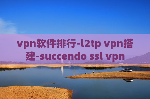 vpn软件排行-l2tp vpn搭建-succendo ssl vpn