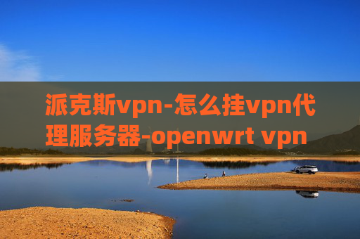 派克斯vpn-怎么挂vpn代理服务器-openwrt vpn 拨号