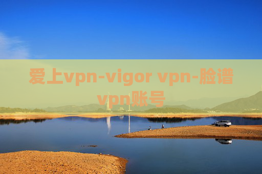 爱上vpn-vigor vpn-脸谱vpn账号