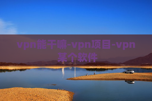 vpn能干嘛-vpn项目-vpn 某个软件