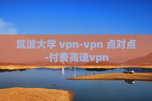 筑波大学 vpn-vpn 点对点-付费高速vpn