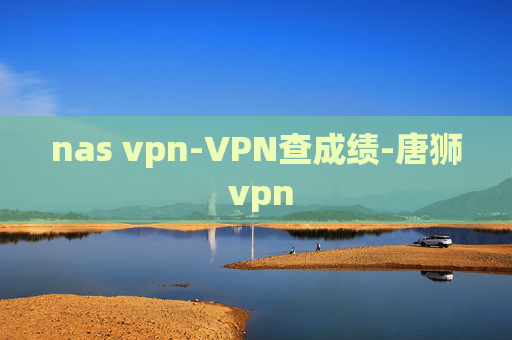 nas vpn-VPN查成绩-唐狮 vpn