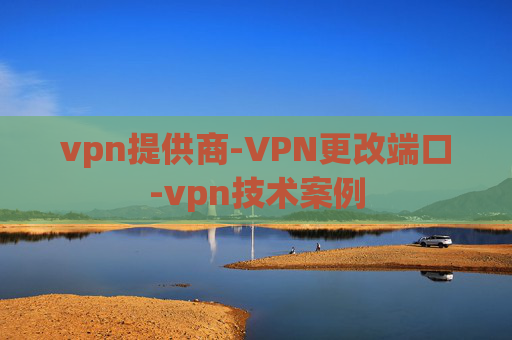 vpn提供商-VPN更改端口-vpn技术案例