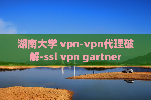 湖南大学 vpn-vpn代理破解-ssl vpn gartner