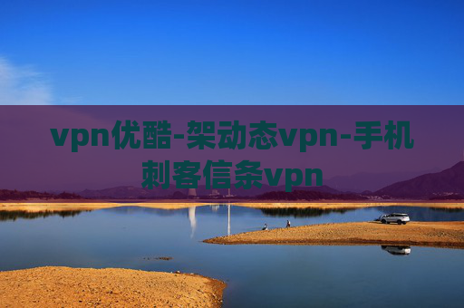 vpn优酷-架动态vpn-手机刺客信条vpn