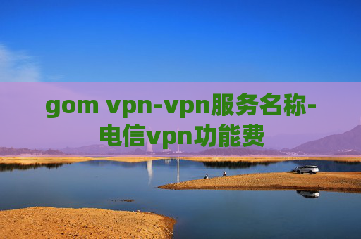 gom vpn-vpn服务名称-电信vpn功能费