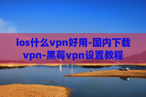 ios什么vpn好用-国内下载vpn-黑莓vpn设置教程