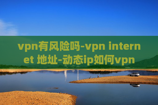 vpn有风险吗-vpn internet 地址-动态ip如何vpn