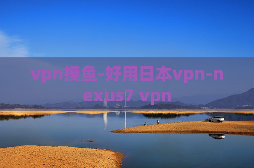 vpn摸鱼-好用日本vpn-nexus7 vpn