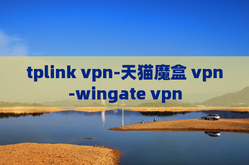 tplink vpn-天猫魔盒 vpn-wingate vpn