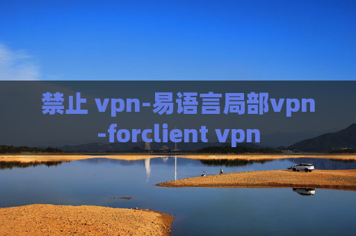 禁止 vpn-易语言局部vpn-forclient vpn