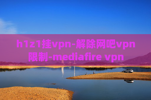 h1z1挂vpn-解除网吧vpn限制-mediafire vpn