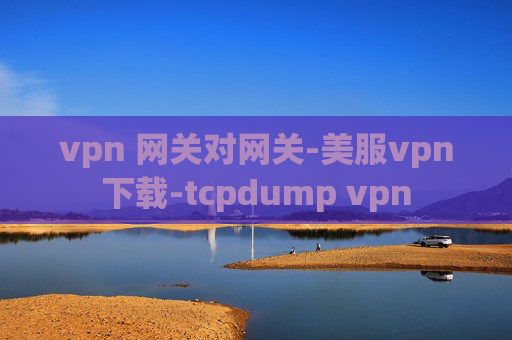 vpn 网关对网关-美服vpn下载-tcpdump vpn