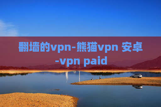 翻墙的vpn-熊猫vpn 安卓-vpn paid