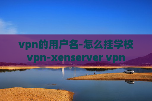 vpn的用户名-怎么挂学校vpn-xenserver vpn