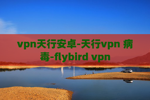 vpn天行安卓-天行vpn 病毒-flybird vpn