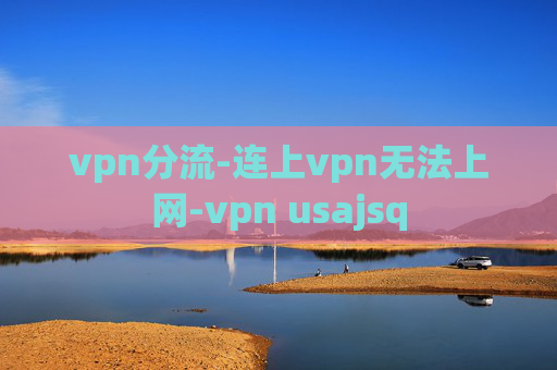 vpn分流-连上vpn无法上网-vpn usajsq