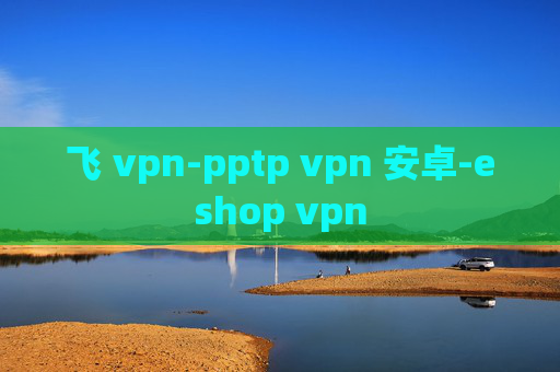 飞 vpn-pptp vpn 安卓-eshop vpn