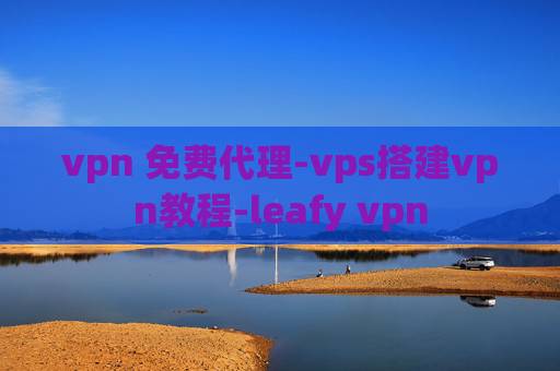 vpn 免费代理-vps搭建vpn教程-leafy vpn